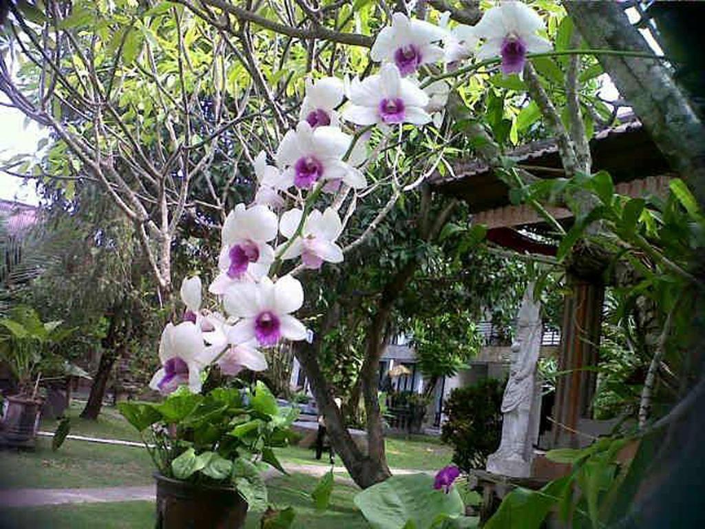 Puri Maharani Boutique Hotel Denpasar  Luaran gambar